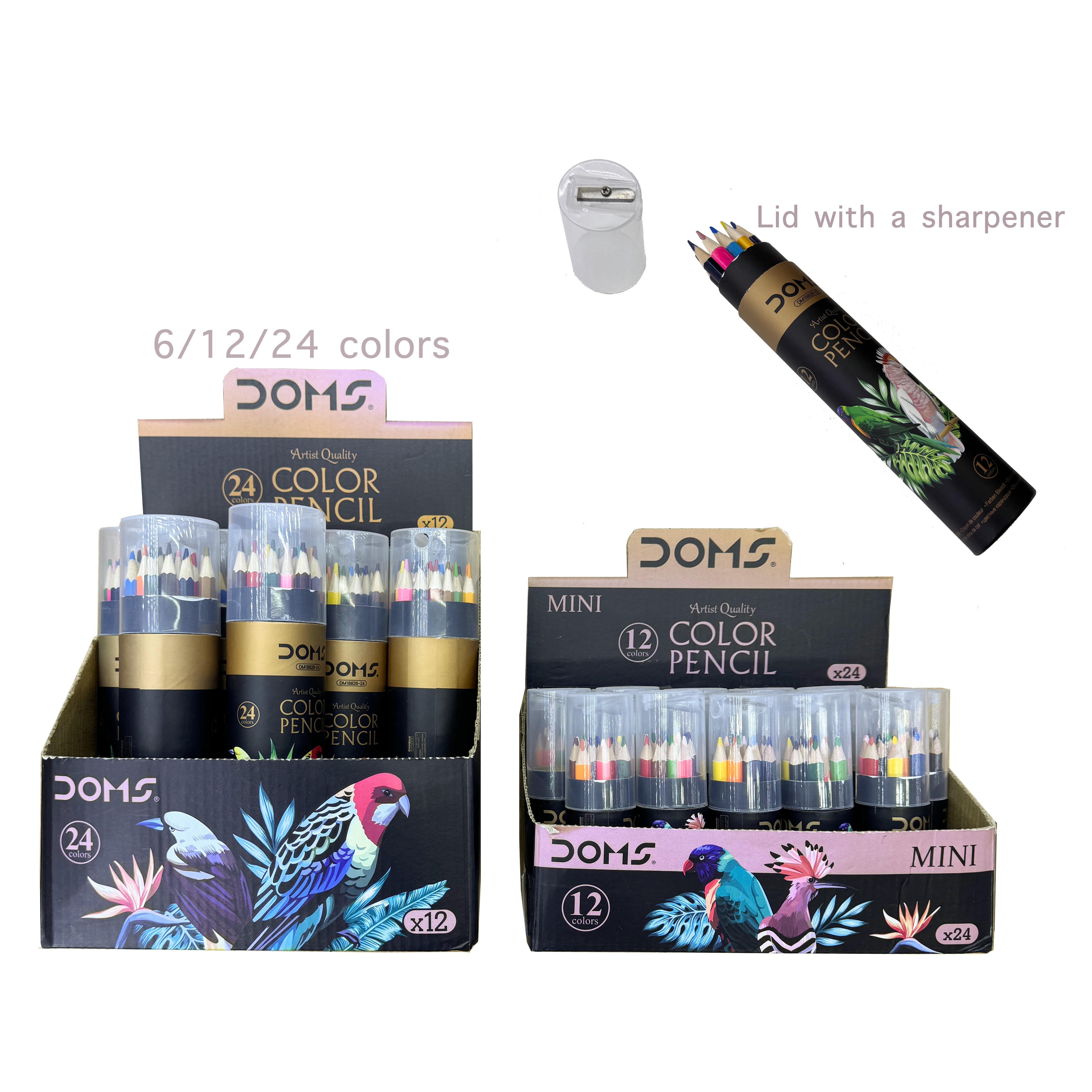 Paper Cylindrical Colored Pencil, 6/12/24 Colorful Bird Themed Exquisite Colored Pencil.